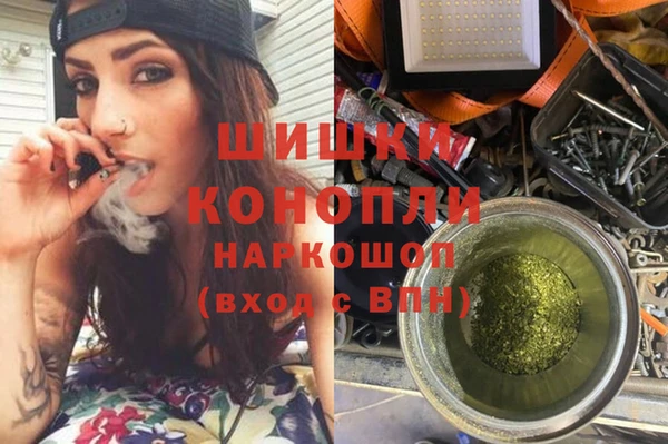 сатива Краснотурьинск