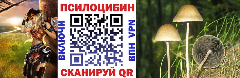 Купить закладки  Юрюзань  Псилоцибиновые грибы мицелий 